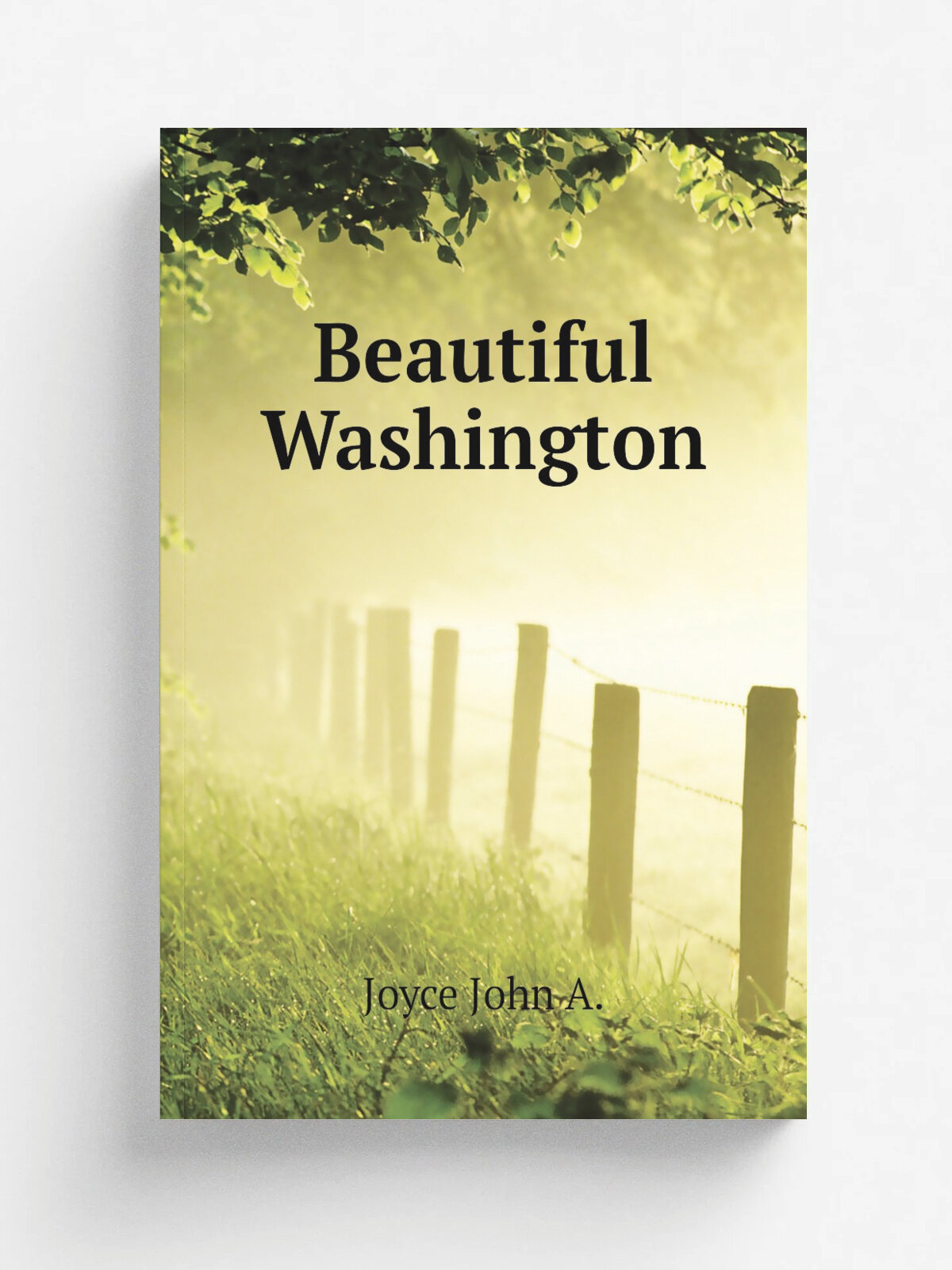 Beautiful Washington | Joyce John A. | Репринт