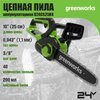 Фото GreenWorks G24CS25K4