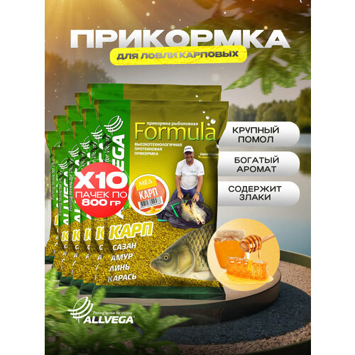 Прикормка для рыбалки ALLVEGA Formula карп мед 10 пачек по 0.9 кг