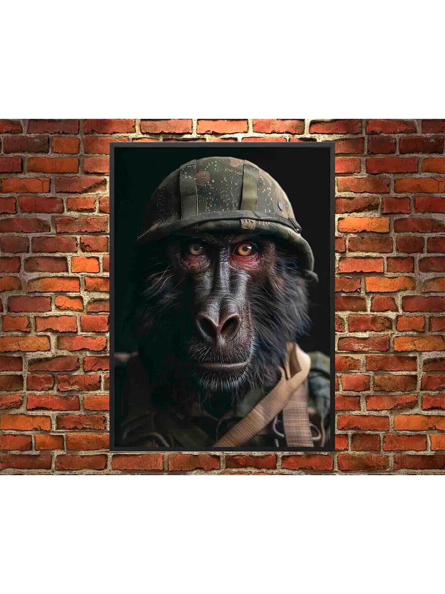 Бабуин-животное-солдат 4, Плакат 30x42см