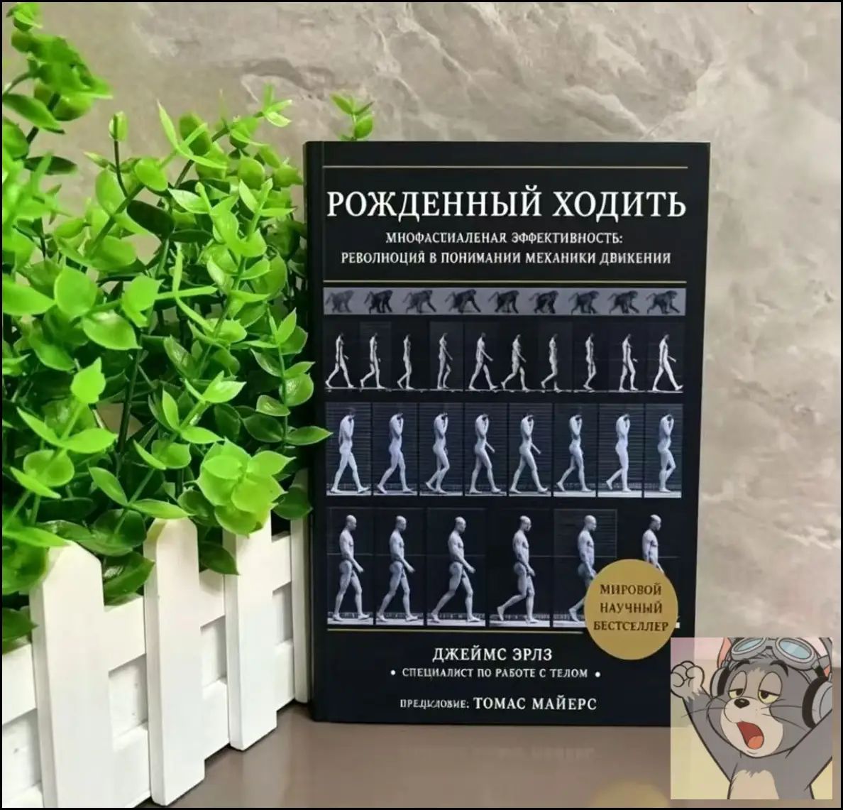 Рожденный ходить Джеймс Эрлз книга по анатомии движения и миофасциальной эффективности
