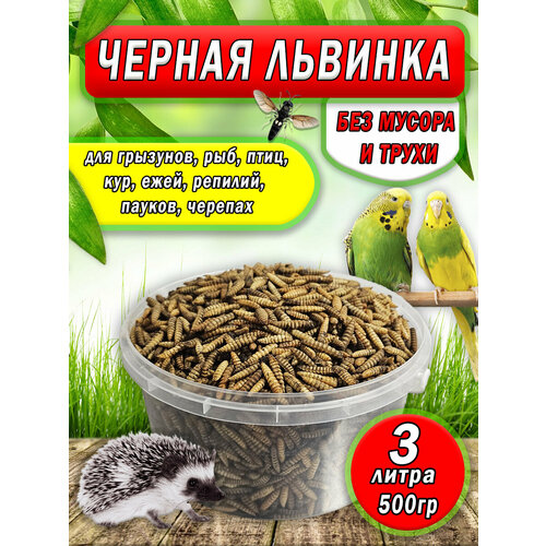 Черная львинка, лакомство для грызунов, рыб, 500грамм