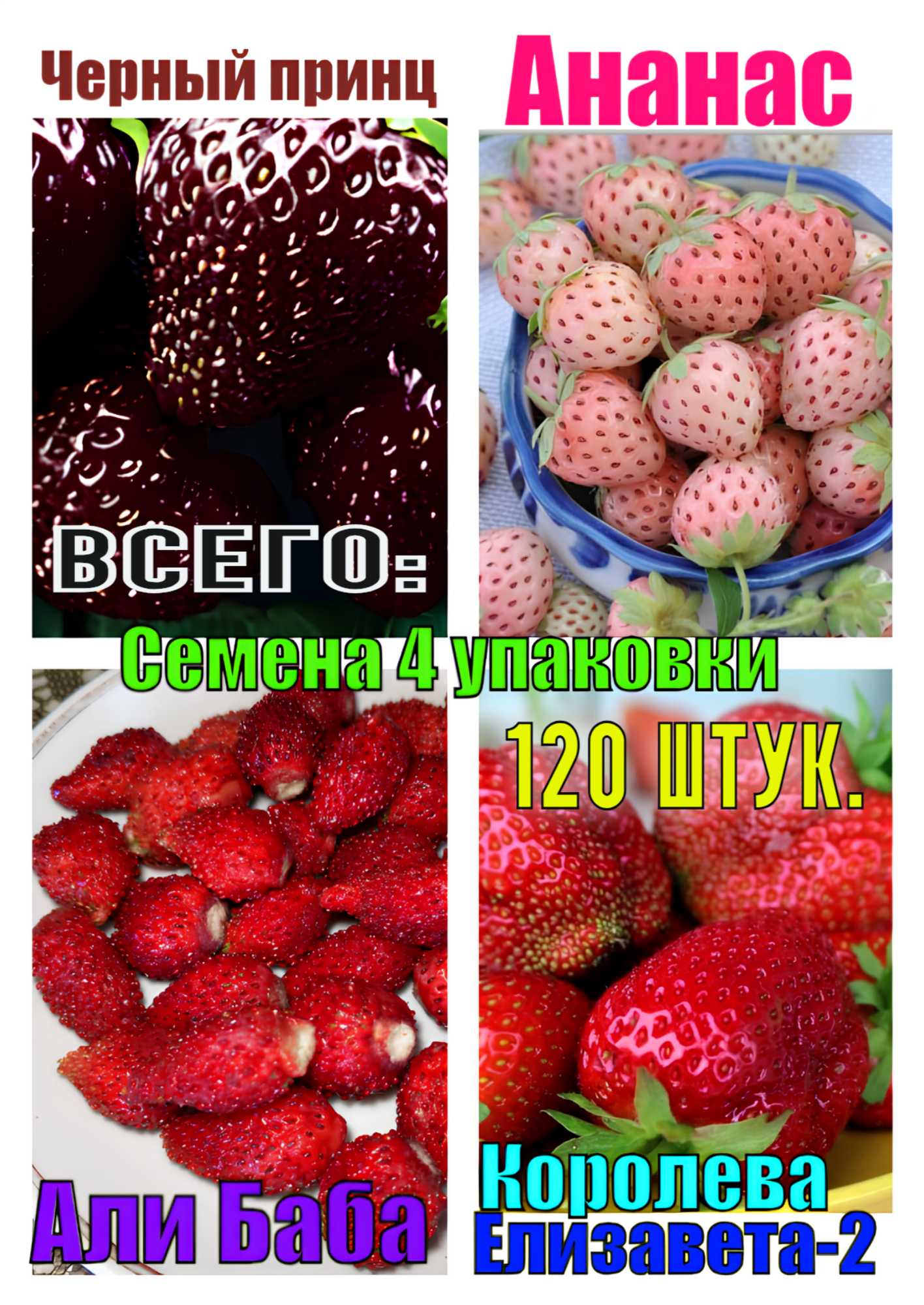 Набор семян 120 шт