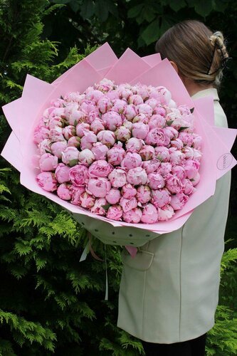Изображение товара Монобукет "Элегантность и Романтика", из пионов, розовые, 101 цветок