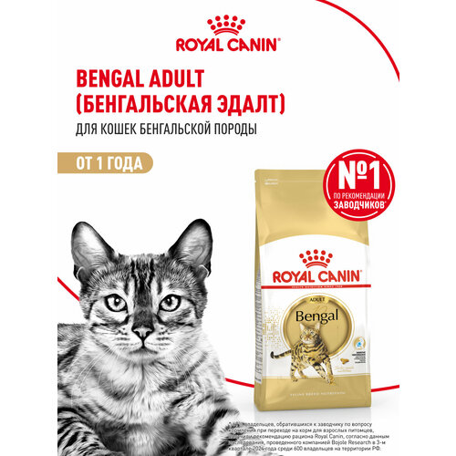 Корм сухой ROYAL CANIN Bengal Adult для взрослых бенгальских кошек старше 12 месяцев (бенгал эдалт) 2 кг