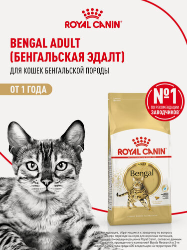 Изображение товара Сухой корм для кошек Royal Canin Adult для бенгальской породы, 400 г