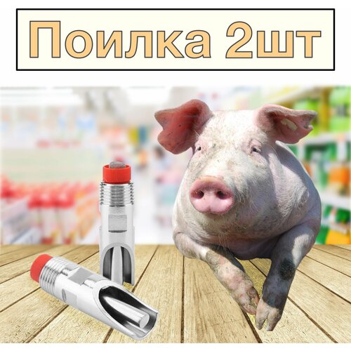 картинка0