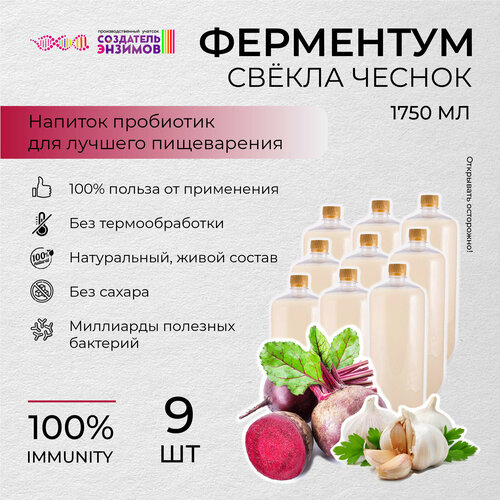 Ферментум Создатель Энзимов Чеснок Свекла 1,75 Литр (ПЭТ) 9 шт.
