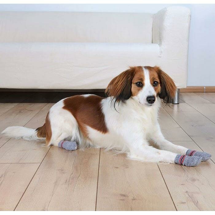 носки для собак Trixie Носки хлопок серый s-m - фото №13