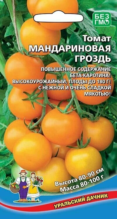 Томат мандариновая гроздь 1 пакет семена 20шт Уральский Дачник для открытого грунта и парников
