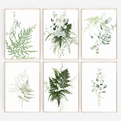 Набор из 6 постеров А4 на бумаге без рамы для интерьера на стену в скандинавском стиле - растения Папоротник Эвкалипт Суккулент