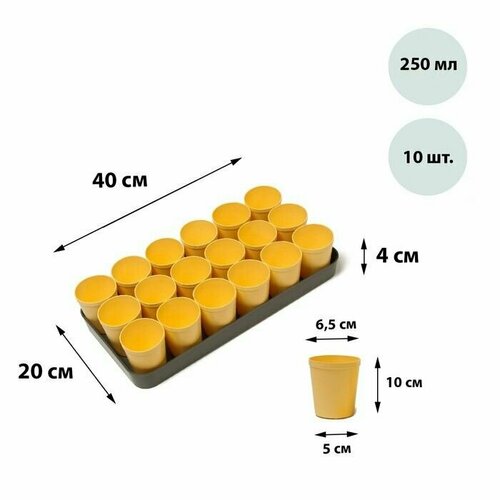 Набор для рассады: стаканы по 250 мл (18 шт.), поддон 41 х 20 см, цвет ,