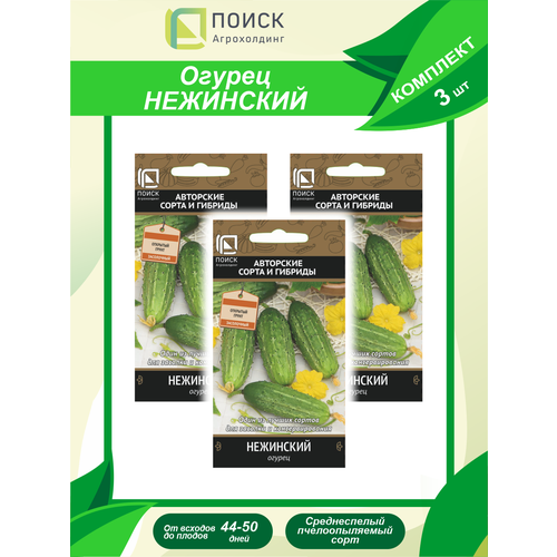 Комплект семян Огурец Нежинский х 3 шт.