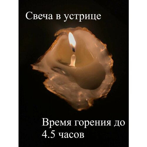 Свеча в устрице 400₽
