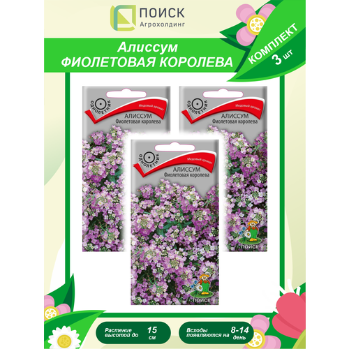 Комплект семян Алиссум Фиолетовая королева однолет. х 3 шт.