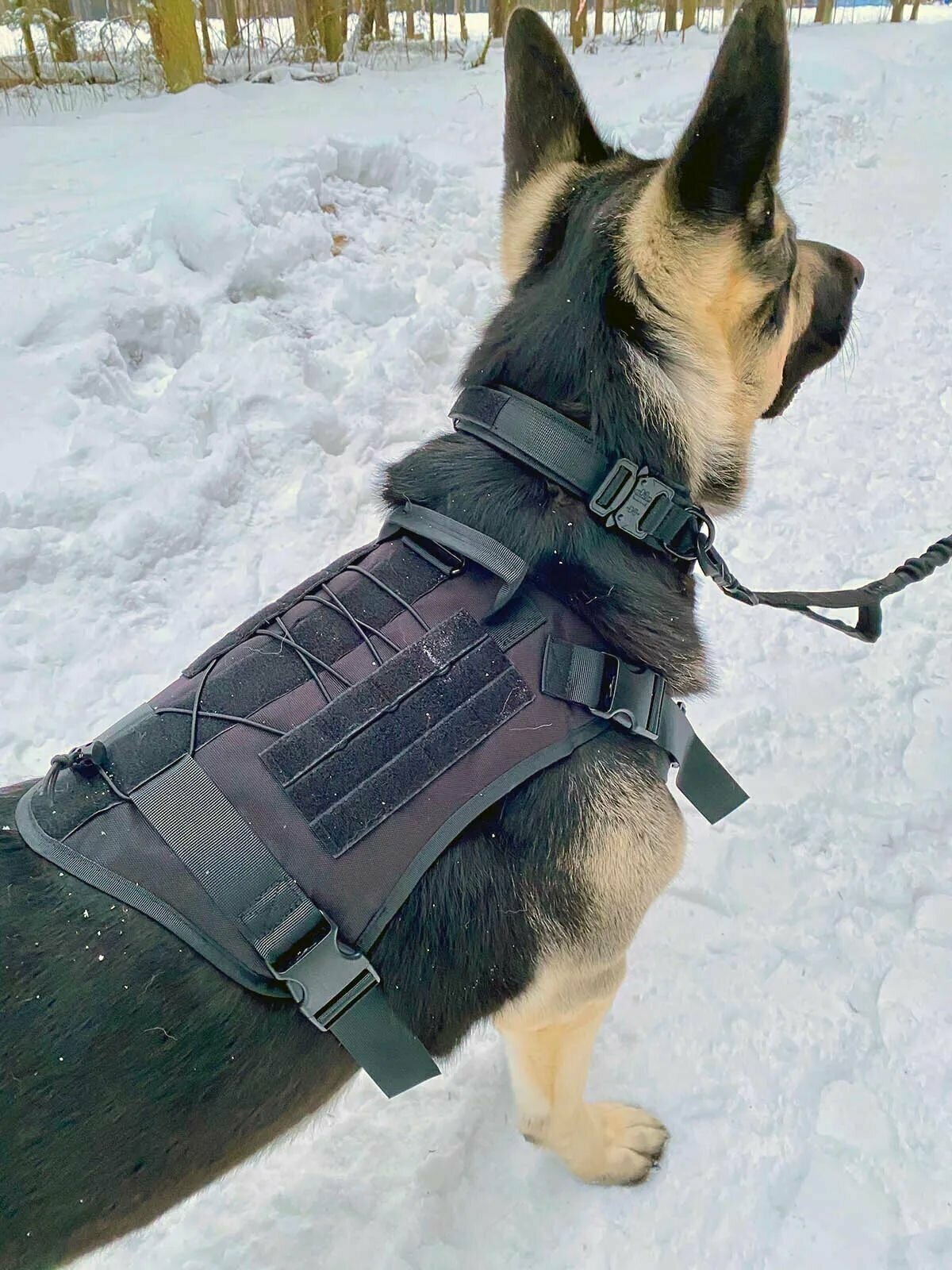 Профессиональный тактический жилет для собак (L, черный) - фотография № 6