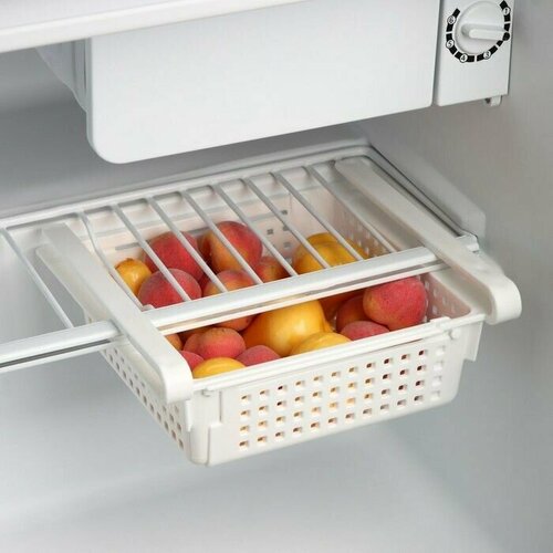 Органайзер для холодильника раздвижной Лофт, 19,7х20х7,7 см, цвет белый