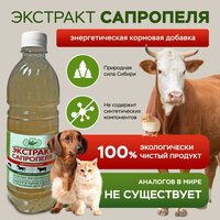 Лучшие Витамины и добавки с кальцием для кошек