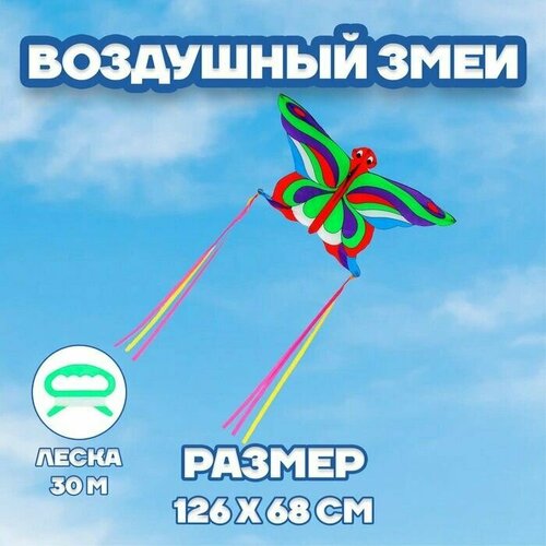 Воздушный змей Бабочка с леской цвета 729₽