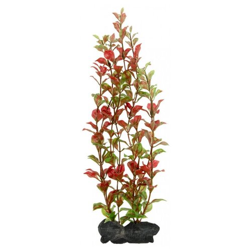 Искусственное растение Tetra Red Ludwigia L 2 шт. 30 см красный/зеленый искусственное растение artuniq ludwigia green 20