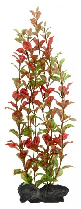 Tetra   Tetra DecoArt Plant L Red Ludwigia  , 30 