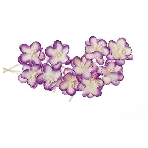 фото Набор "цветки вишни" из бумаги, цвет: 08 фиолетовый/белый, 10 штук, арт. scb3002 scrapberry's