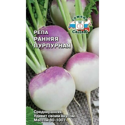 Репа ранняя пурпурная, 1 пакет, семена 200шт, седек семена репа ранняя пурпурная 1 г 3 шт