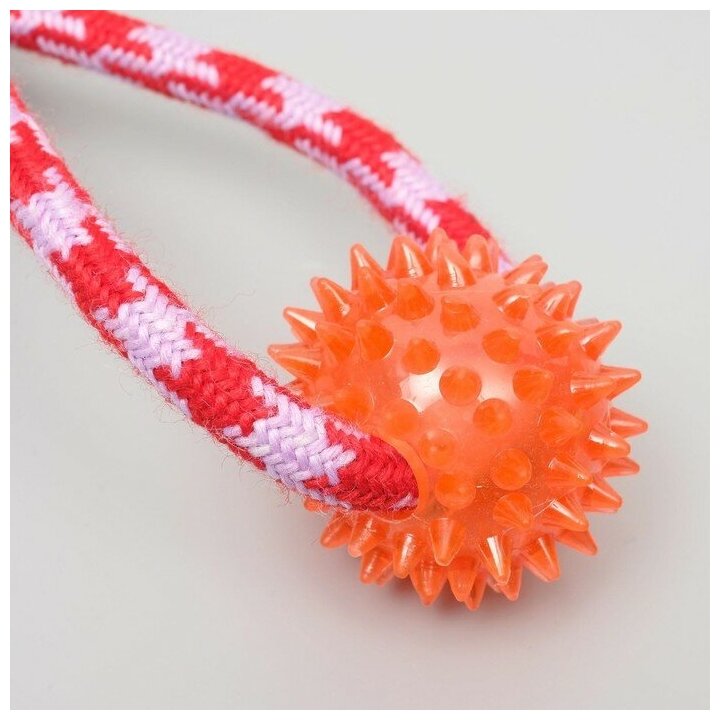 Пижон Игрушка канатная "Узел с массажным шариком", до 31 см, до 65 г, микс цветов