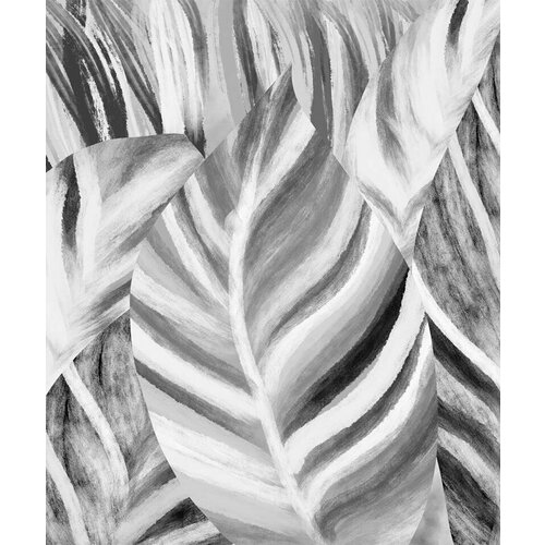 Моющиеся виниловые фотообои Фон банановые листья черно-белые, 200х240 см