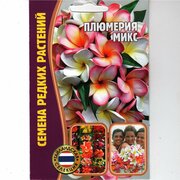 Плюмерия микс, комнатный экзотический многолетник ( 1 уп: 3 семени )