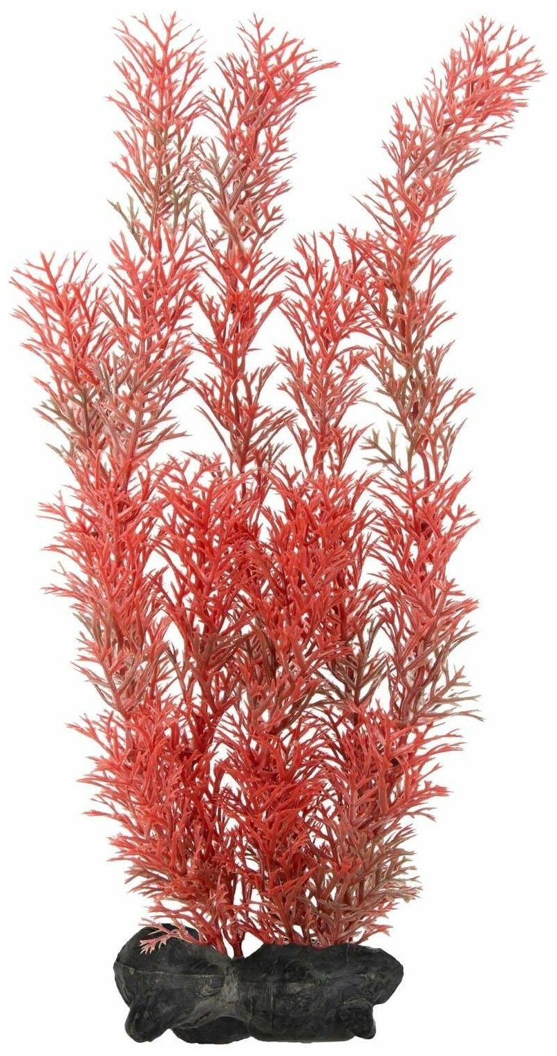 Растение Tetra DecoArt Plantastics Red Foxtail (L) 30 см, с утяжелителем