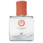 FIILIT PARFUM DU VOYAGE MADAGASCAR WAKA (EDP 50 ML) - изображение