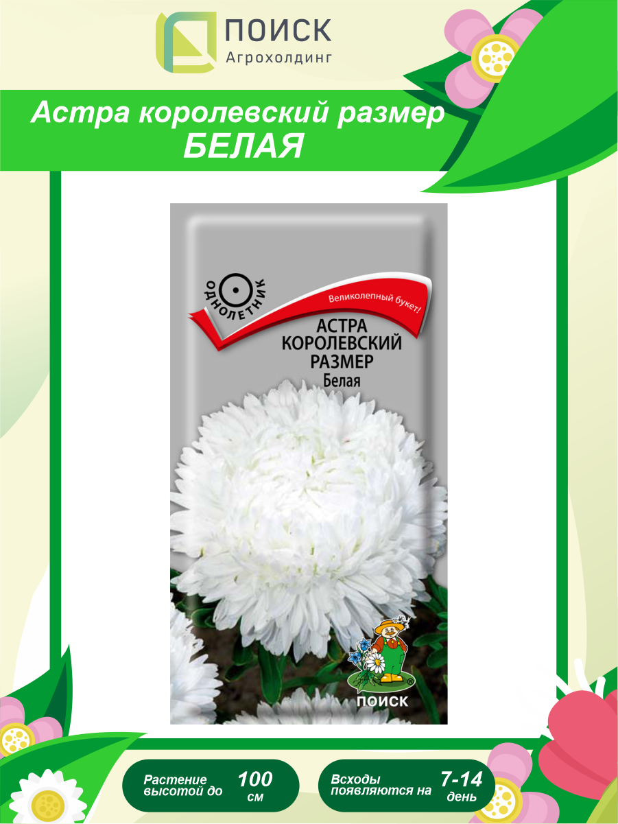 Семена Астра королевский размер белая однолетние 0,1 гр.