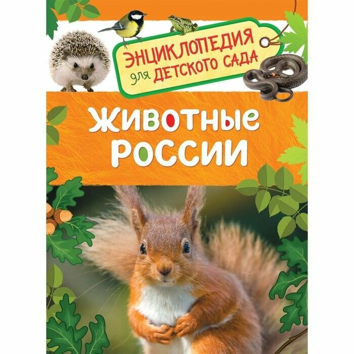 Энциклопедия для детского сада Животные России