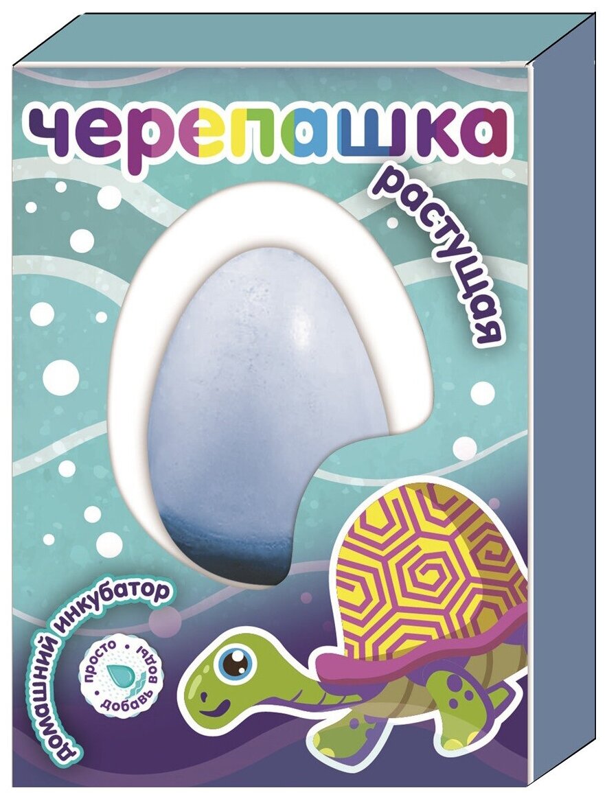 Инкубатор домашний 1Toy Мини-яйцо с растущей черепашкой - фото №1