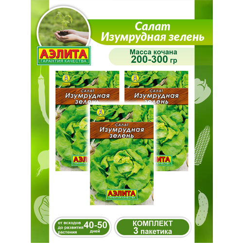 Комплект семян Салат Изумрудная зелень х 3 шт. комплект семян салат 4 сезона кочанный х 3 шт
