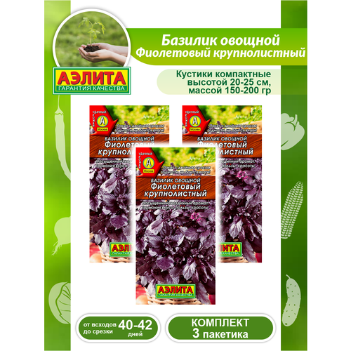 Комплект семян Базилик овощной Фиолетовый крупнолистный х 3 шт.