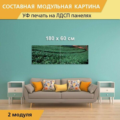 Модульная картина 