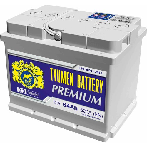 Автомобильный аккумулятор TYUMEN Battery Premium 64.0 Ач R+ EN620A (242x175x190)