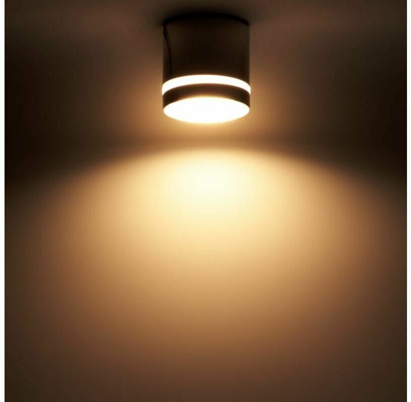 Накладной потолочный светильник Ritter Arton 59944 9 - фотография № 20