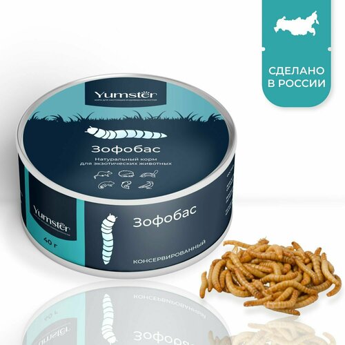 Консервированный зофобос корм для крыс хорьков хомяков ежей ящериц птиц лакомство для грызунов 40 г 354₽