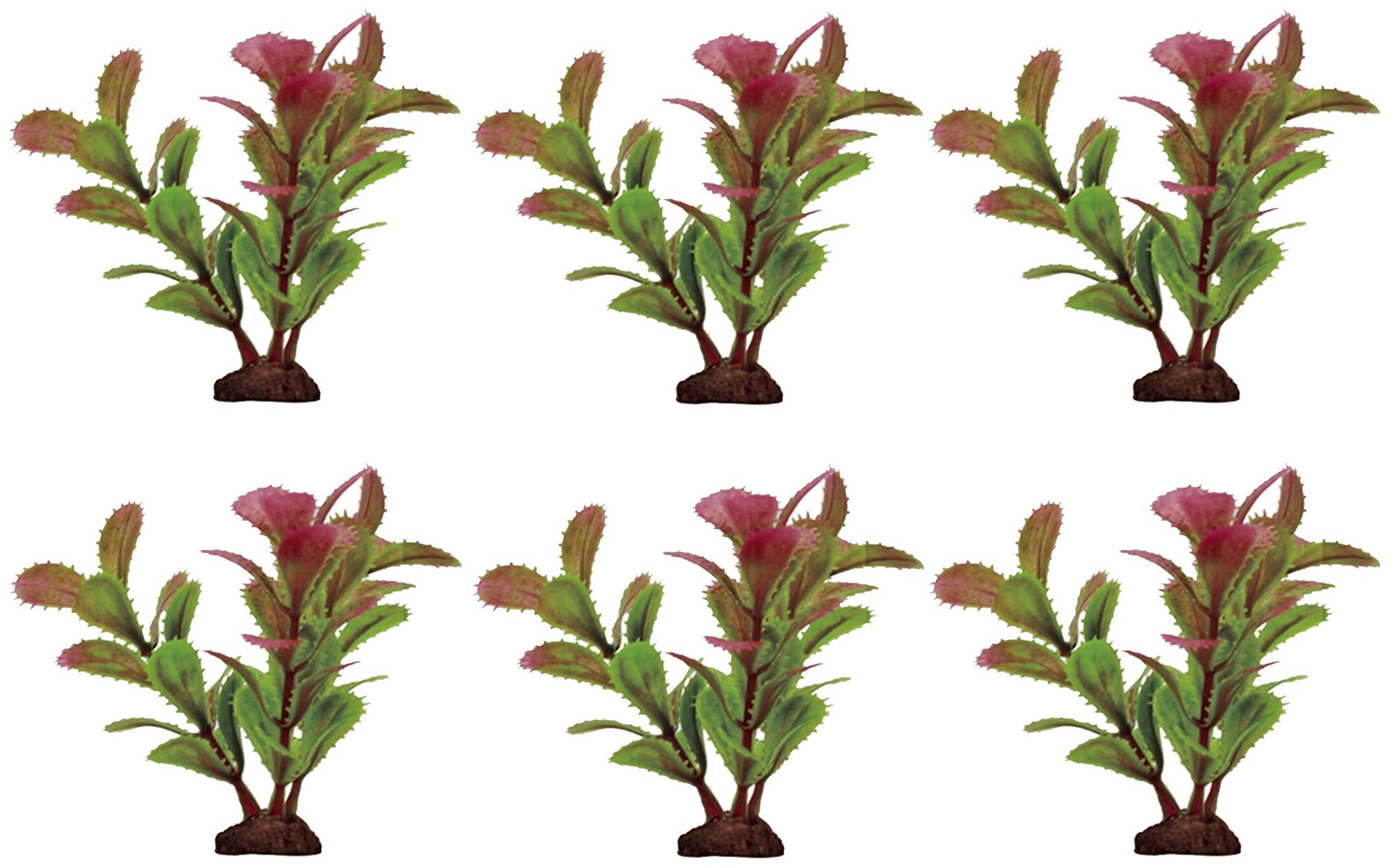 ArtUniq Proserpinaca red-green Set 6x10 -     -, 10 , 6 