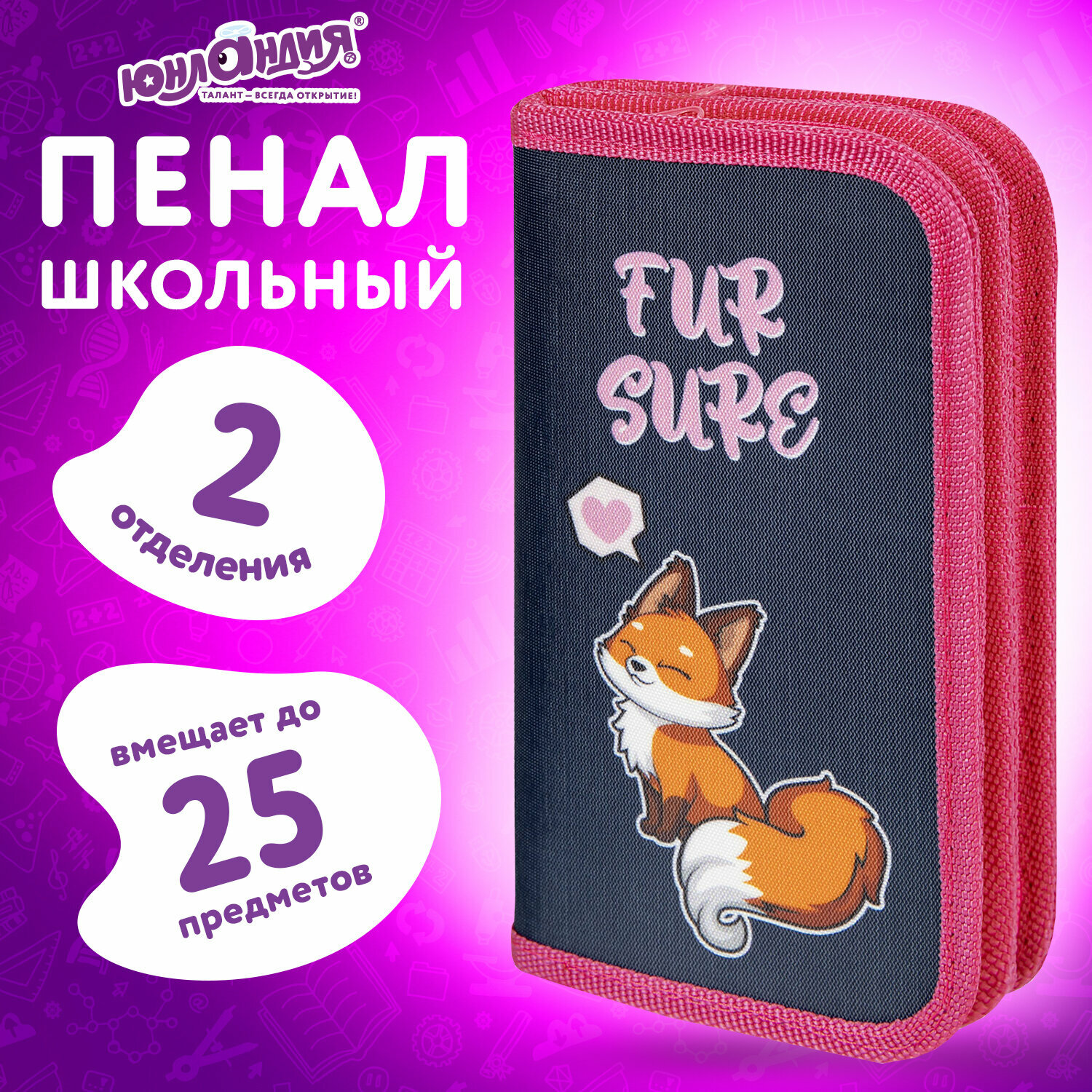 Пенал Юнландия, 2 отделения, полиэстер, 19х11 см, Nice fox, 271022