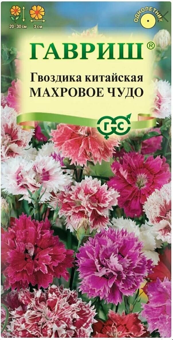 Гвоздика китайская Махровое чудо (смесь) 1 пакет семена 005 гр Гавриш