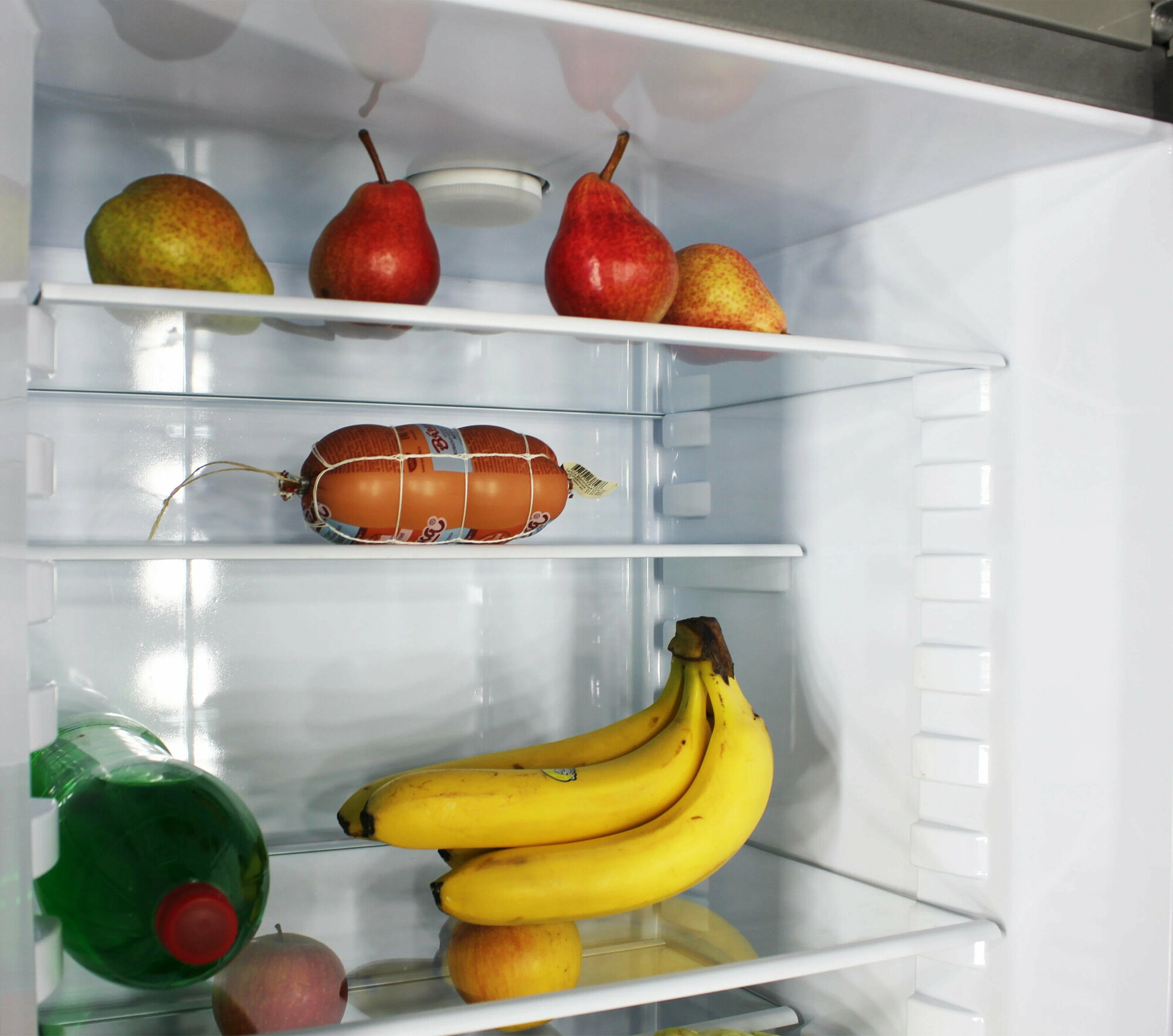 Холодильник Орск 174 MI металлик искристый - фотография № 9