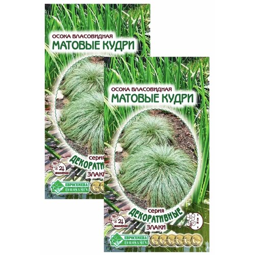 Осока власовидная матовые кудри, 2 пакета, семена 5шт, ЕвроСемена осока битлз