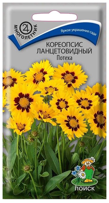 Яндекс Маркет Интернет Магазин Семена