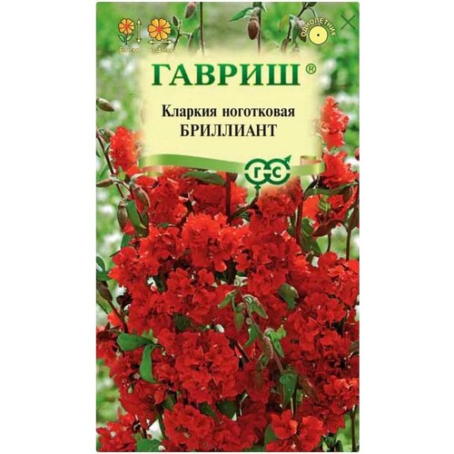 Кларкия Бриллиант, 1 пакет, семена 0,05 гр, Гавриш