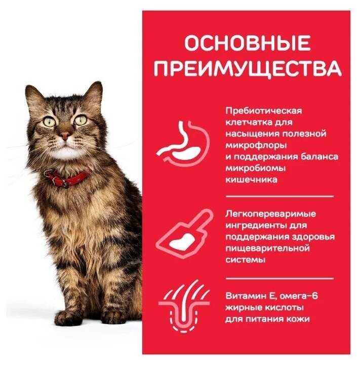 Сухой корм Hill's Science Plan Sensitive Stomach & Skin для кошек с чувствительным пищеварением и кожей, с курицей, 1,5 кг, 1 пакет - фотография № 12