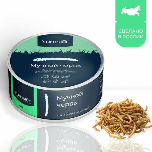 Консервированный мучной червь, корм для крыс, хорьков, хомяков, ежей, ящериц, птиц, лакомство для грызунов, 40 г